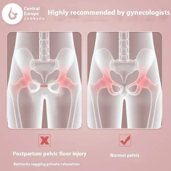 Thigh and Pelvic Strengthener